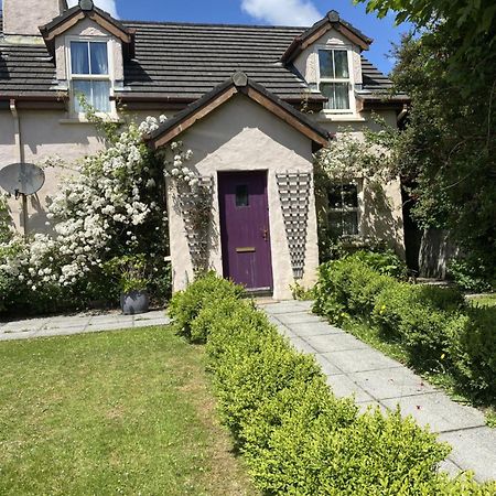 Orchard Cottage Dingle Kültér fotó