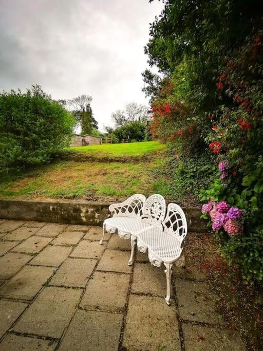 Orchard Cottage Dingle Kültér fotó